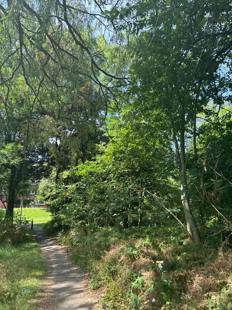 walking near me in Alexandra Park in summer