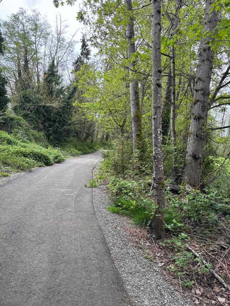 walking near me in Alderbrook Park in spring