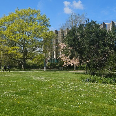 Goys Gang 🤸 Varshini Vura post image