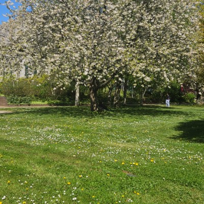 Goys Gang 🤸 Varshini Vura post image