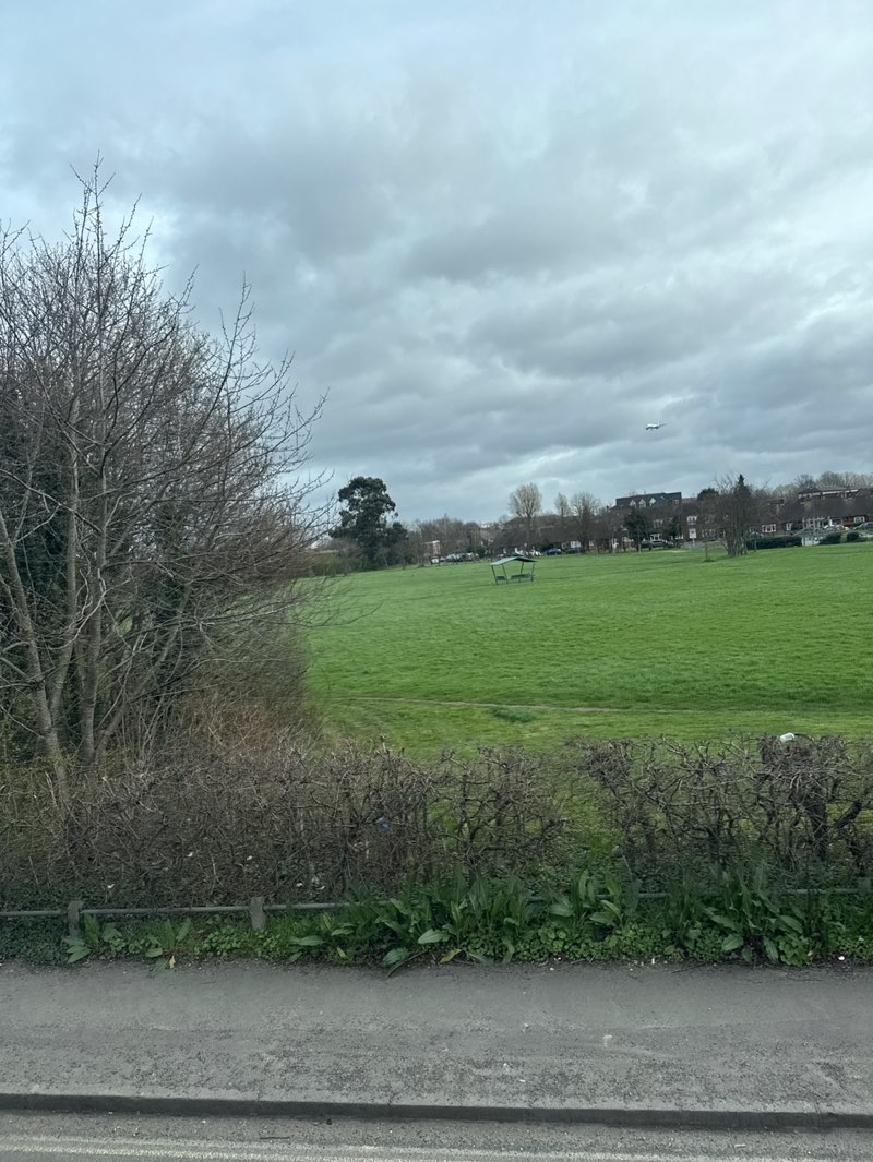 walking near me in Chester Road Park in spring