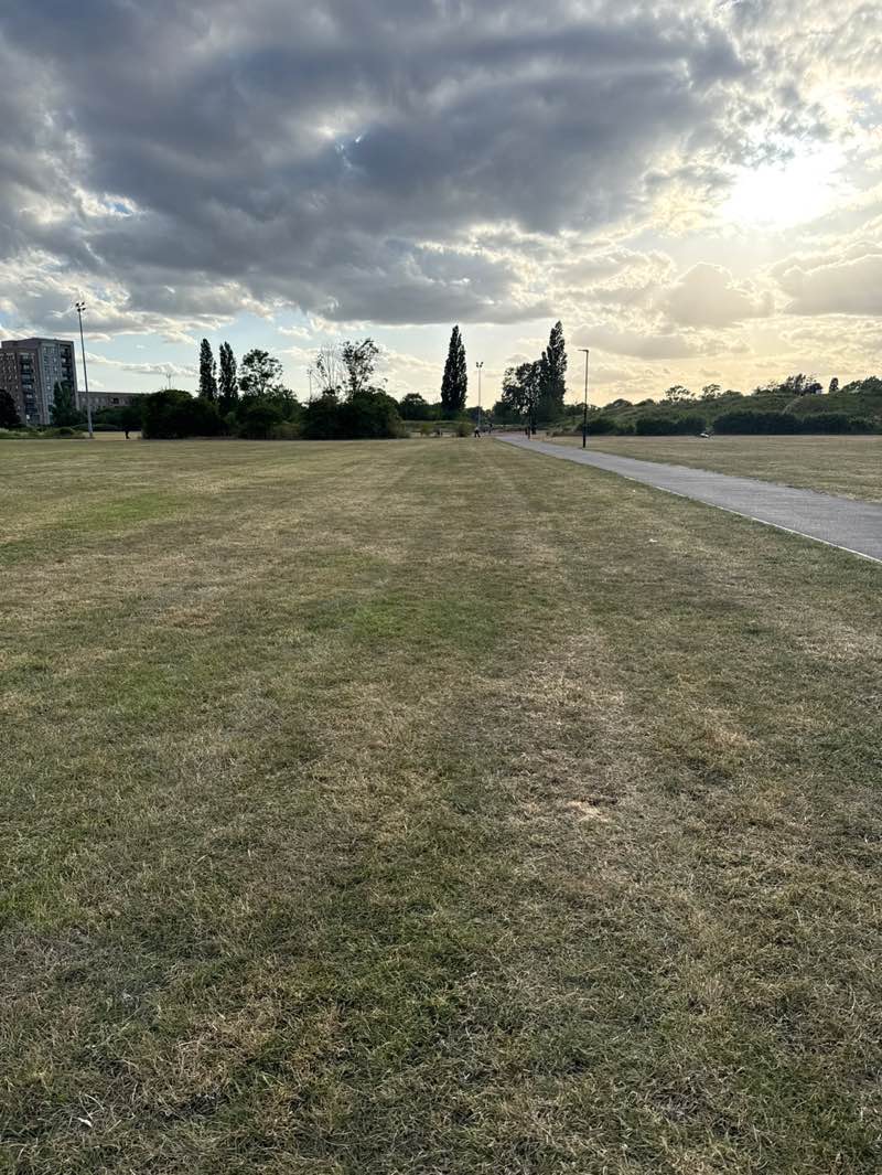 walking near me in Glebelands Playing Fields Sport Zone in summer