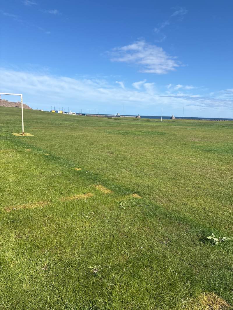 walking near me in West Links in summer