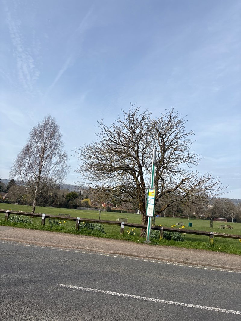walking near me in Master Park in spring