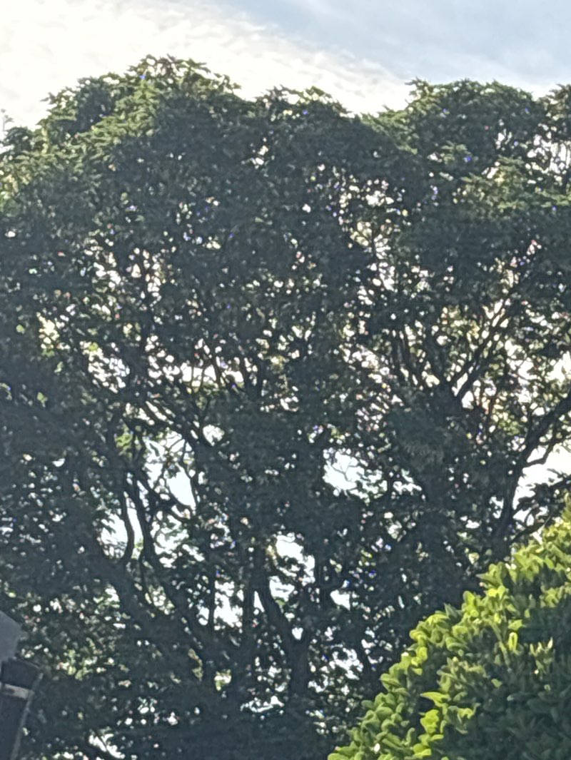 walking near me in Queen's Park in summer