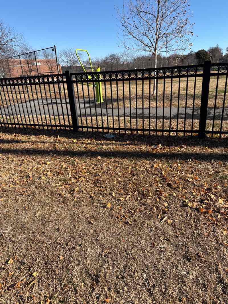 walking near me in Turkey Thicket in winter