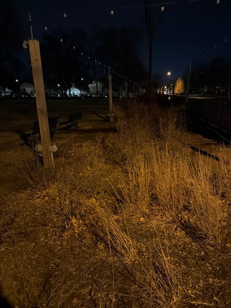 walking near me in Hyatt Park in winter