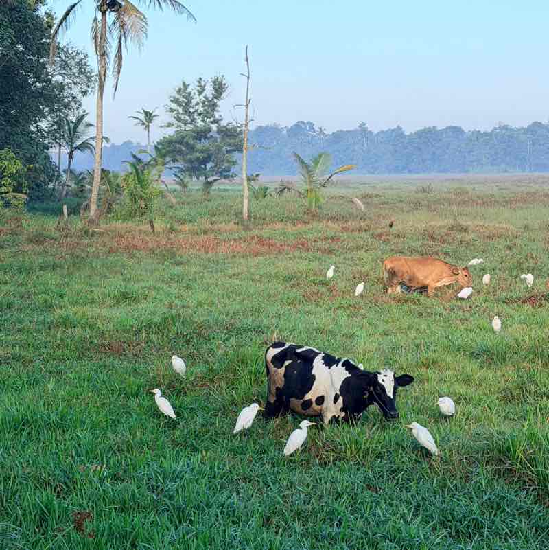 OFSE Digital Footprints Savithri 🇮🇳 post image