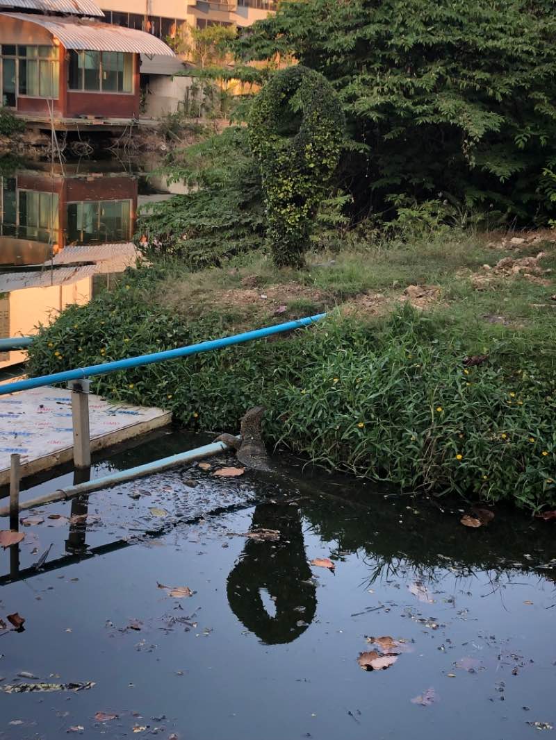 walking near me in Silpakorn Green Space in winter