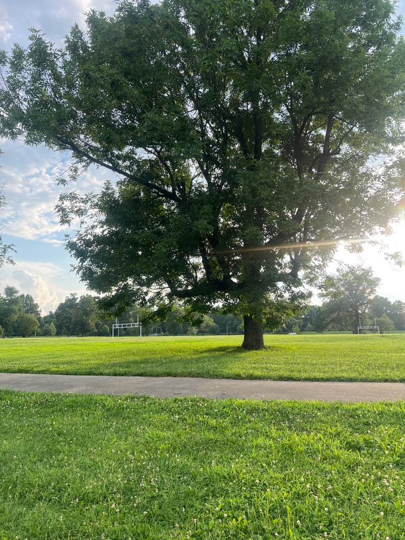 walking near me in Shawnee Park in summer