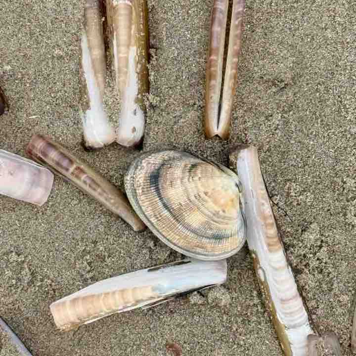 Stappenchallenge VredPolLeu Veronique Verbist post image