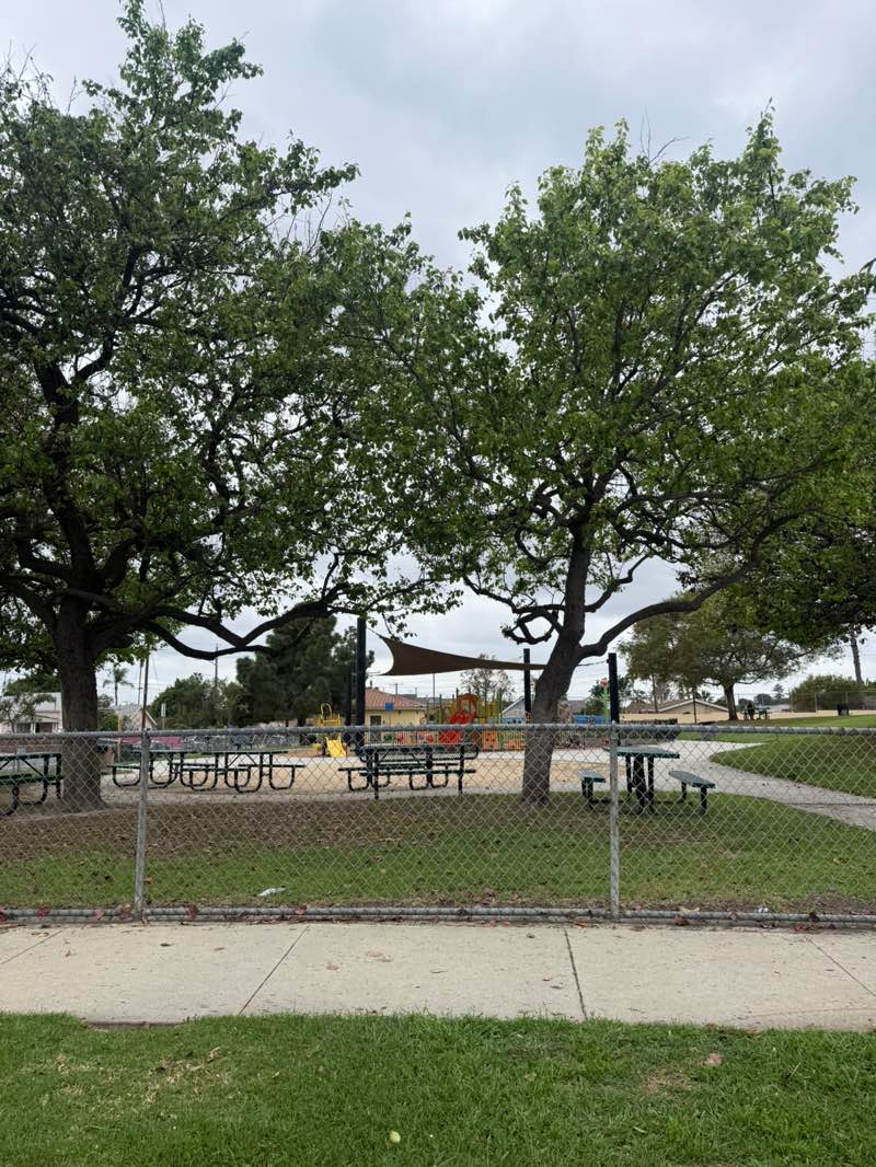 walking near me in North Park in winter