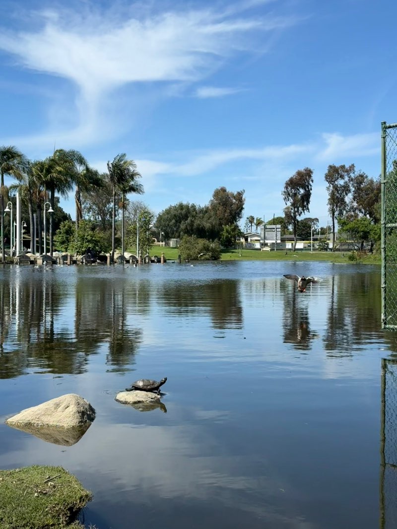 walking near me in Polliwog Park in spring