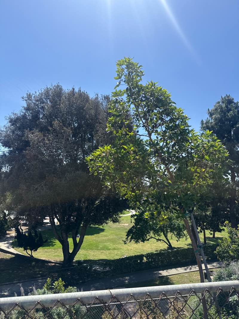 walking near me in Recreation Park in spring