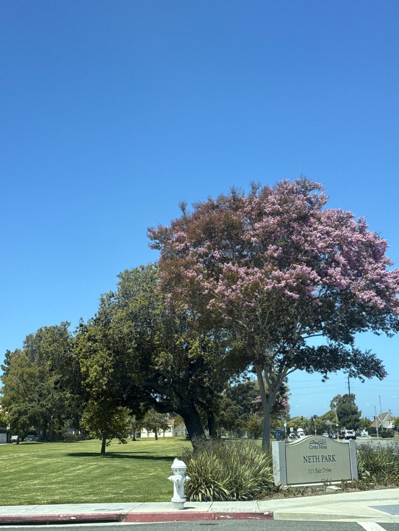 walking near me in Civic Center Park in summer