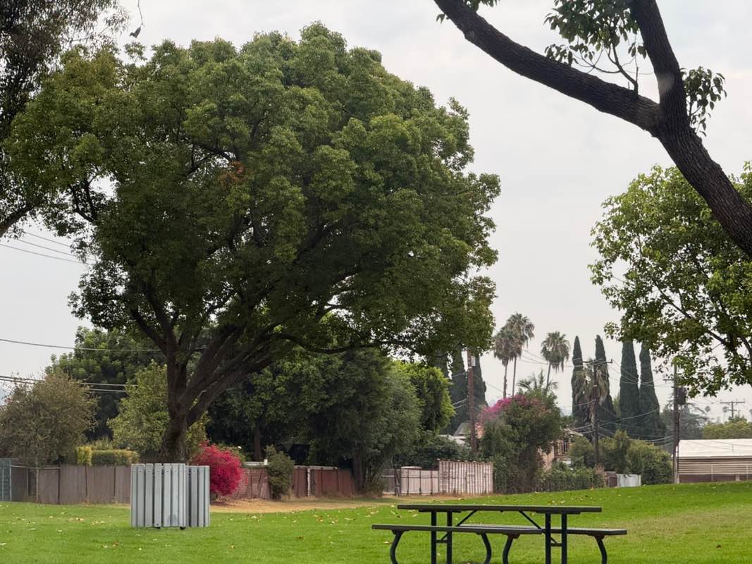walking near me in Guirado Park in summer