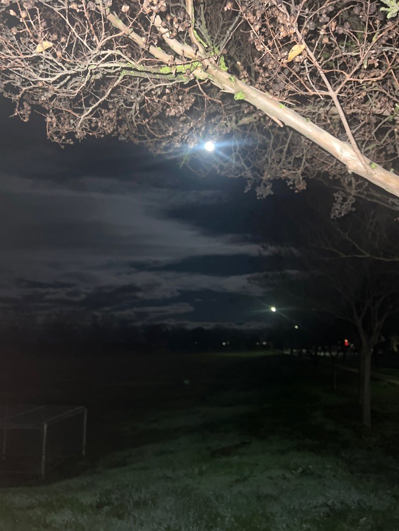 walking near me in Acacia Park in winter