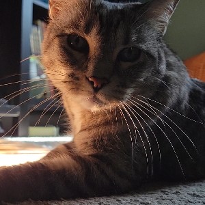 Sarah Veatch profile