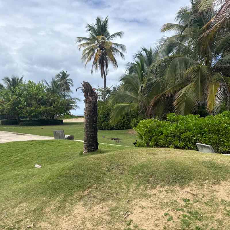 Carlos 🇵🇷 post 2