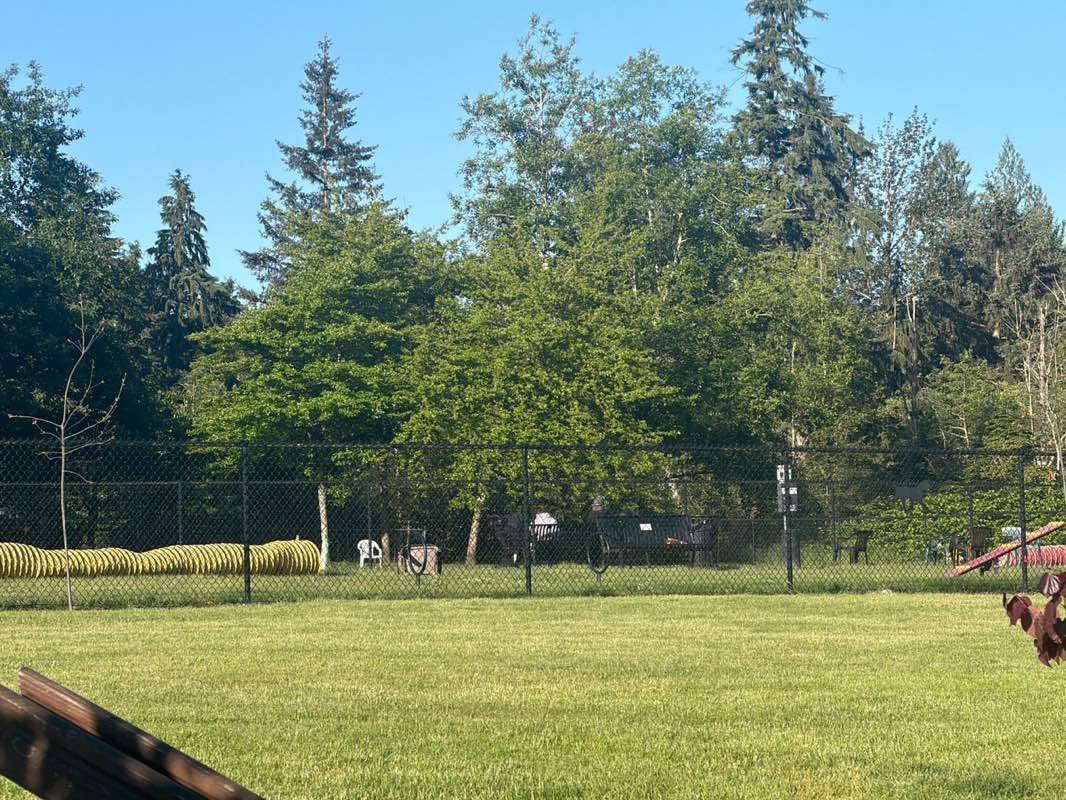 walking near me in Ellenson Park in summer
