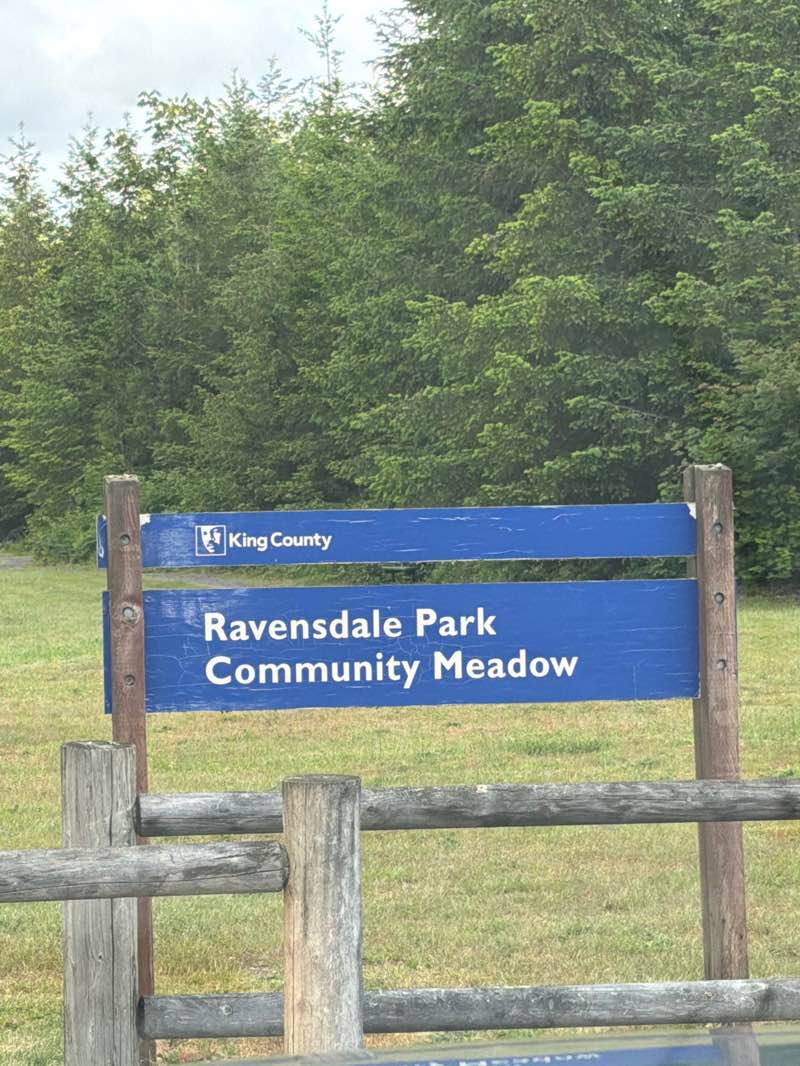 walking near me in Ravensdale Park in summer