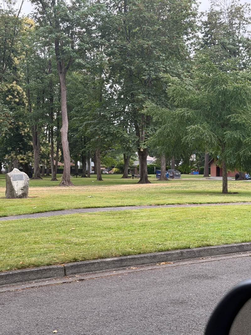 walking near me in Veteran's Memorial Park in summer