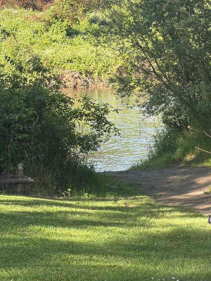 walking near me in Whitney Bridge Park in summer