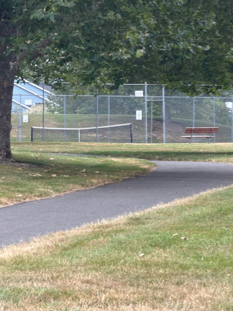 walking near me in Rainier Trails Park in summer