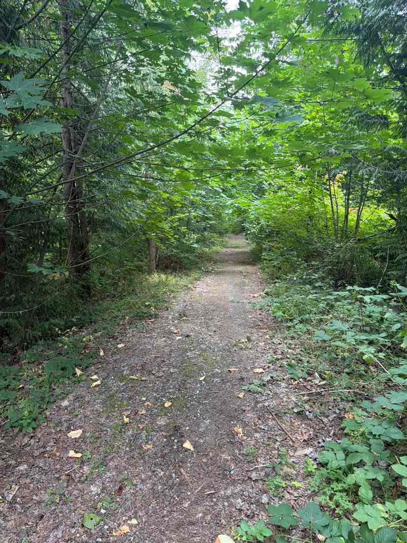 walking near me in Cedar Creek Park in summer