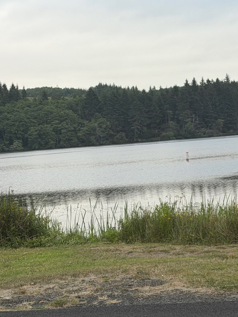 walking near me in Cullaby Lake County Park in summer