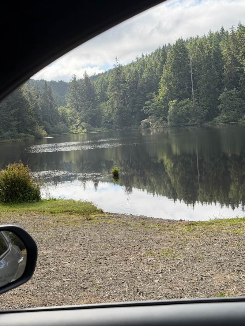 walking near me in Carnahan County Park in summer