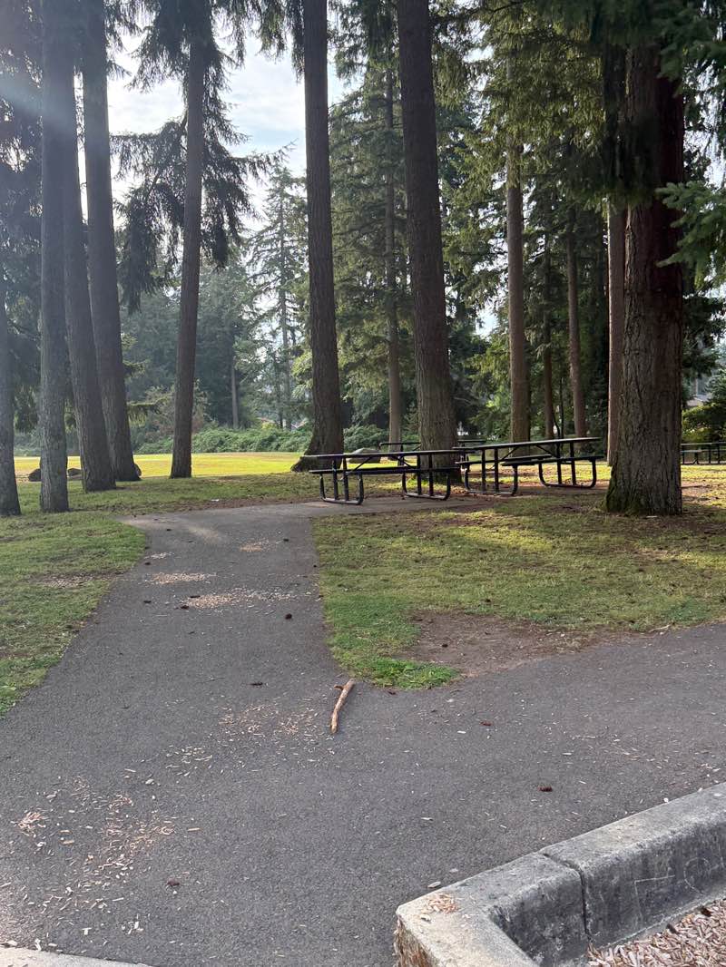 walking near me in Rainier Woods Park in summer