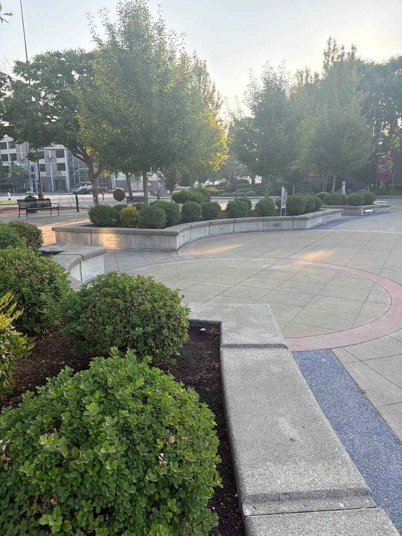 walking near me in Town Square Plaza in summer