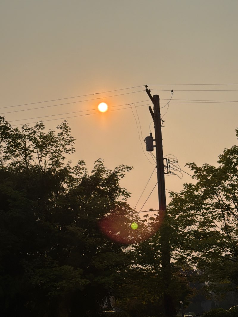 walking near me in Edgemont Hilltop Community Field in summer