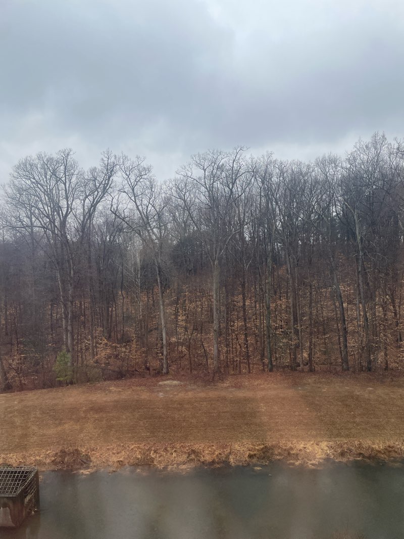 walking near me in Pohick Bay Regional Park in winter
