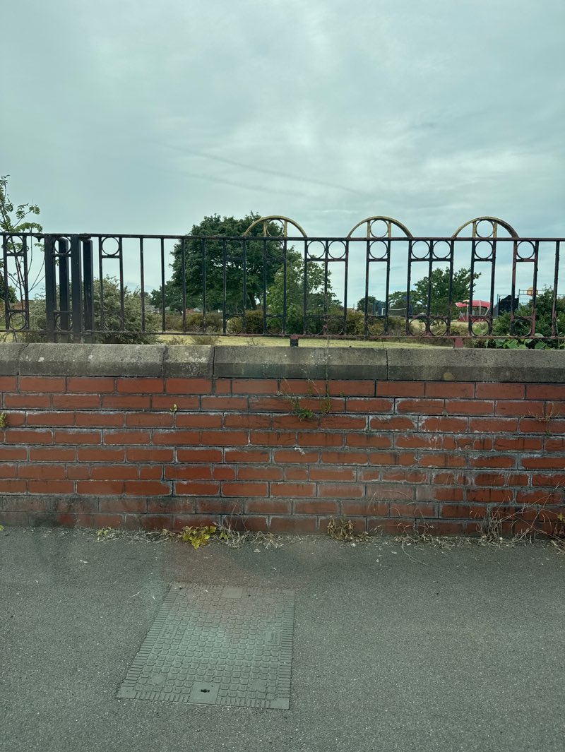 walking near me in Bedford Park in summer