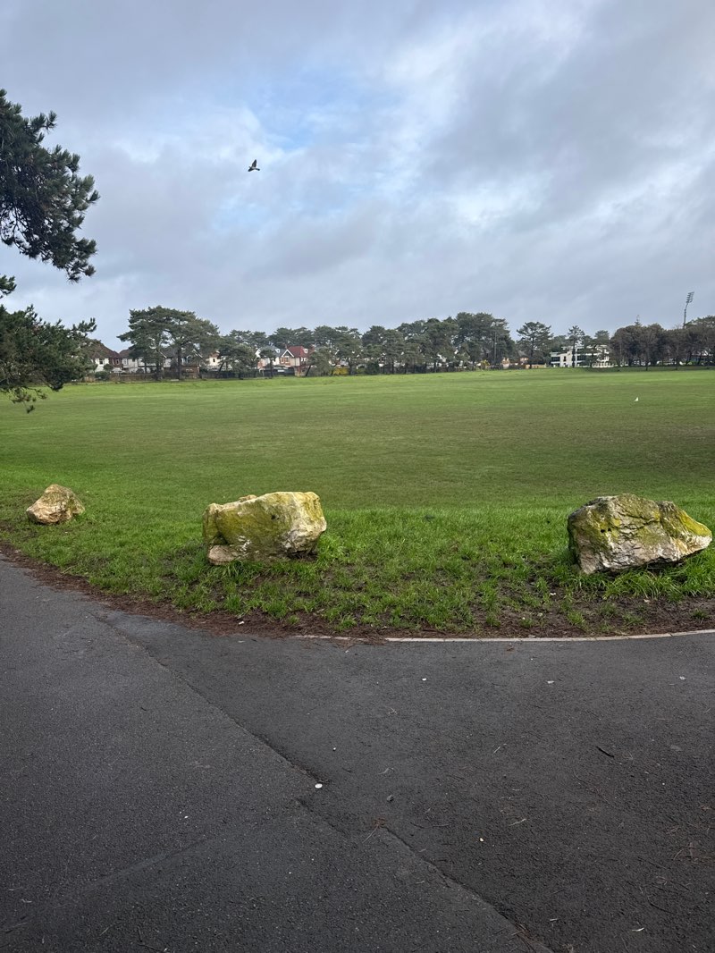 walking near me in Kings Park in winter