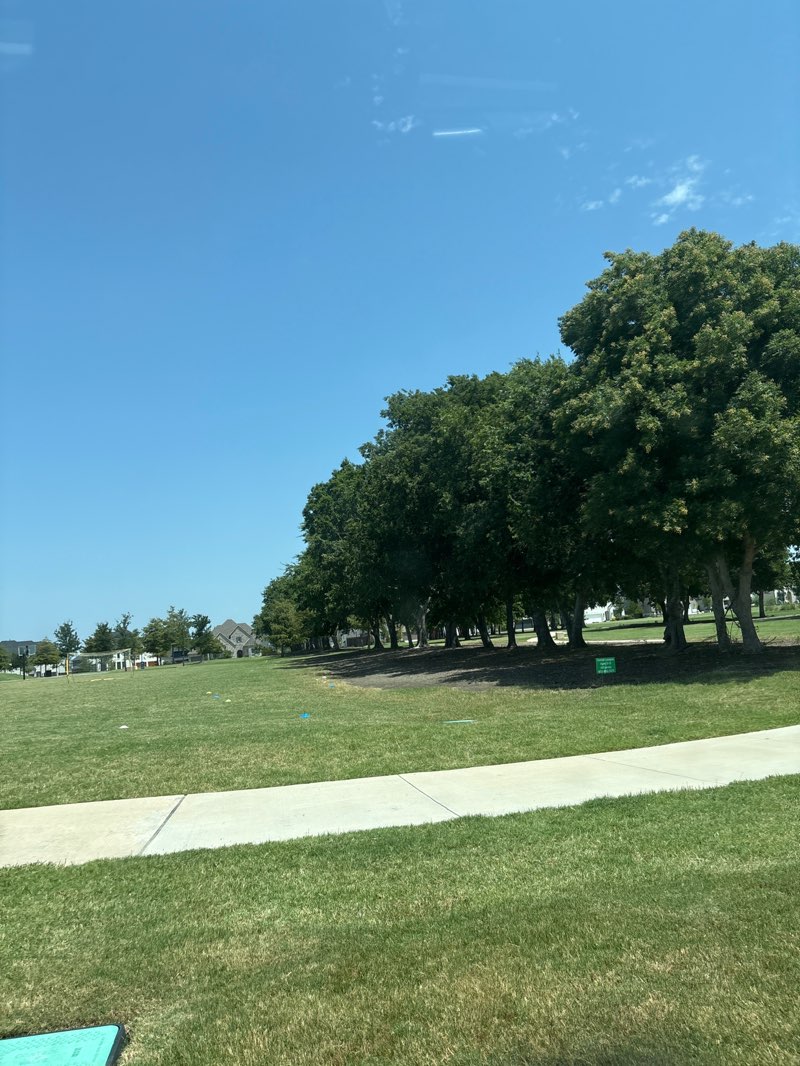 walking near me in Jamison Park in summer