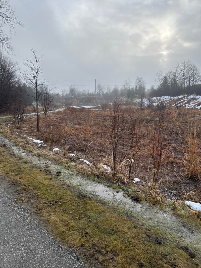 walking near me in Beachwood City Park West in winter