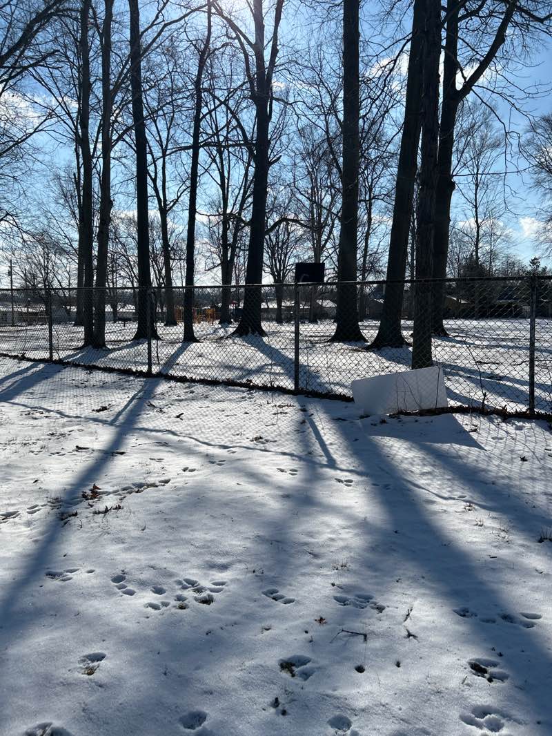 walking near me in Featherston Park in winter