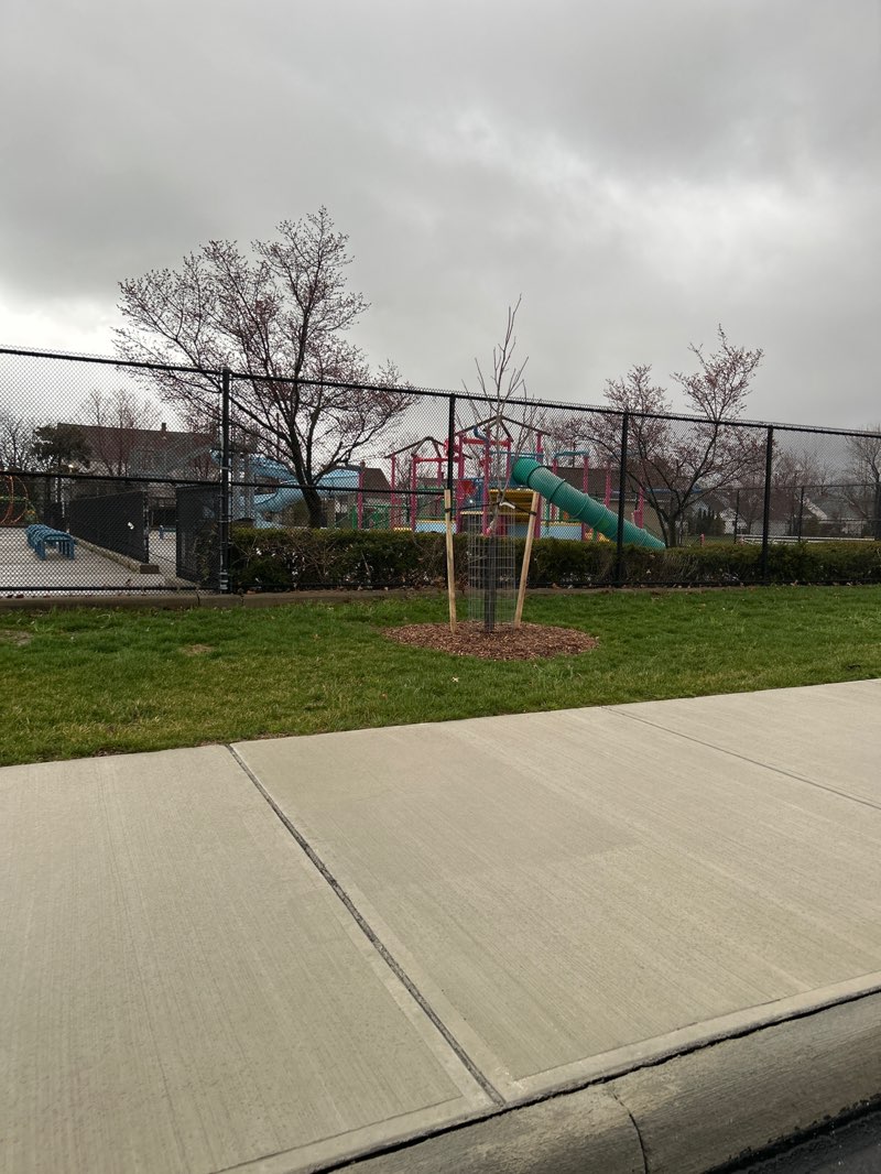 walking near me in Neff Park in spring