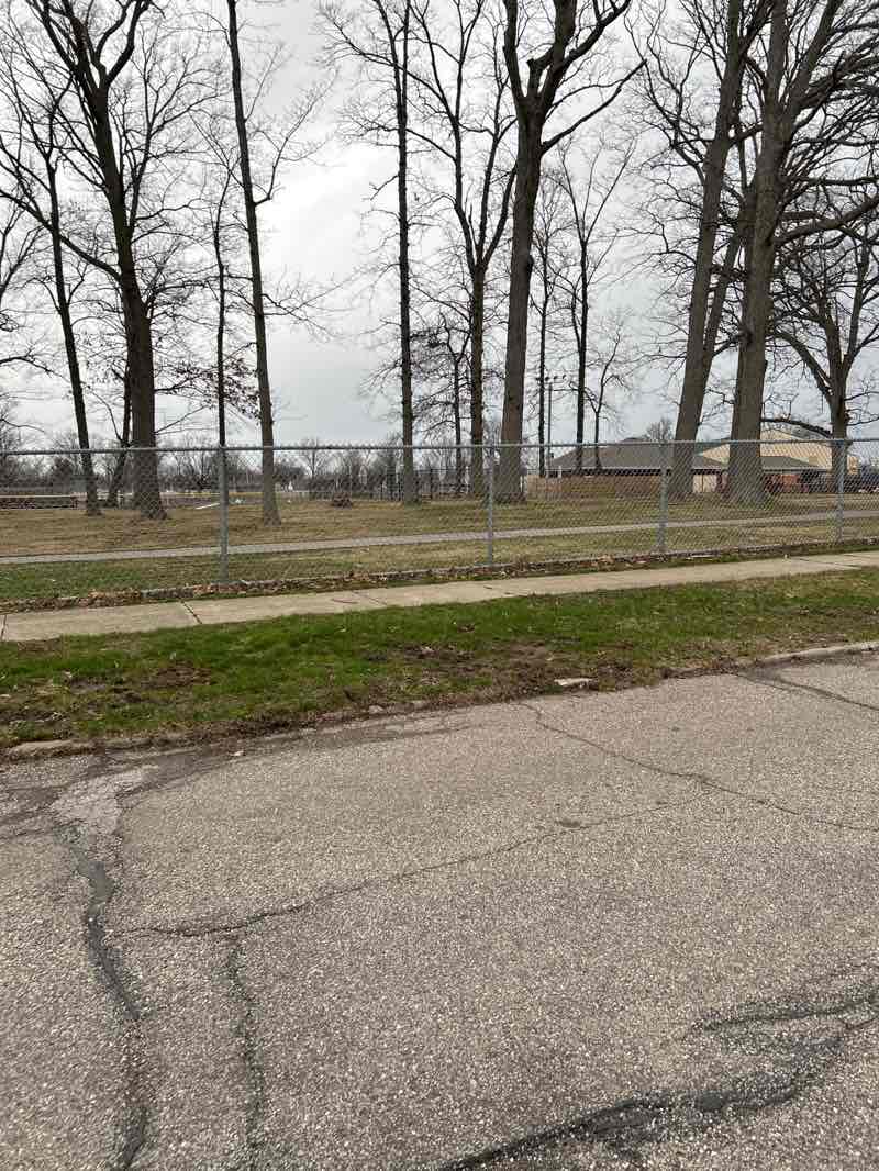 walking near me in Manry Park in spring