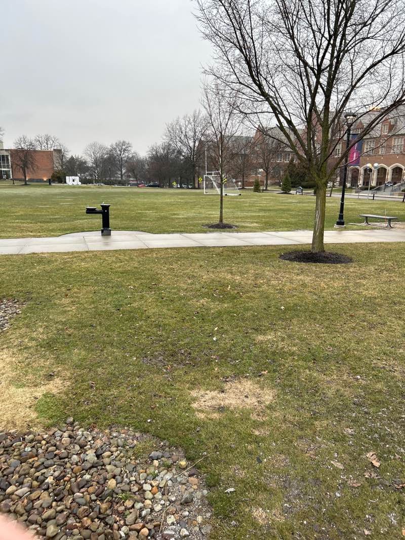 walking near me in Hamlin Quad in spring
