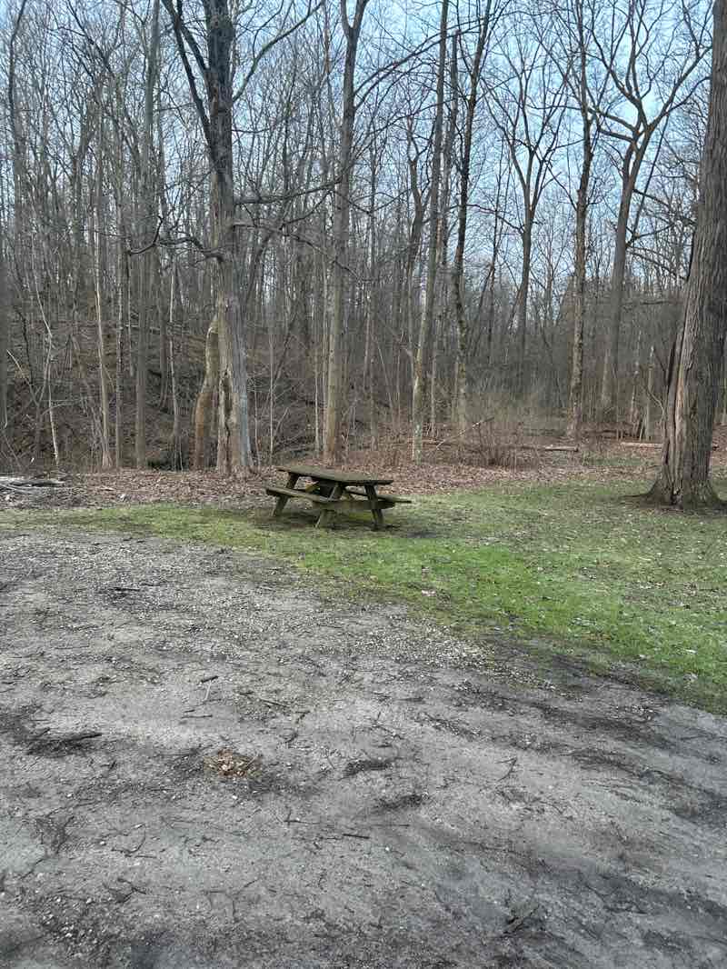 walking near me in Woodin Road Park in spring