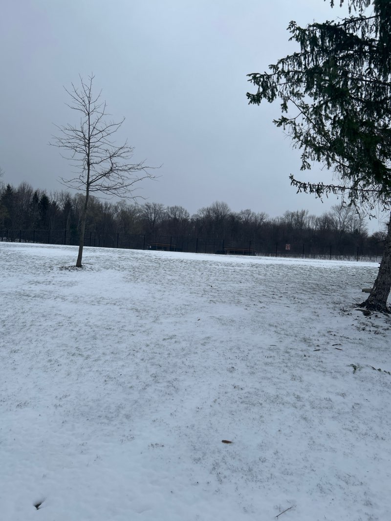 walking near me in Chagrin Falls Village Park in spring