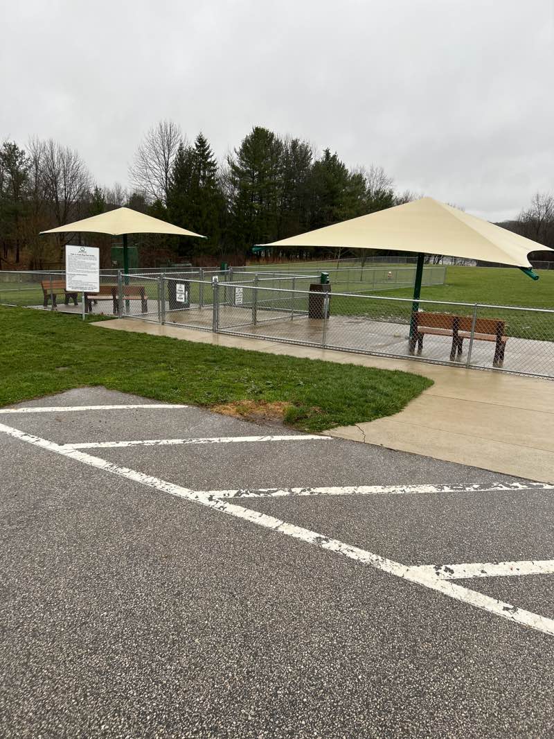 walking near me in Tails 'n Trails Dog Park in spring