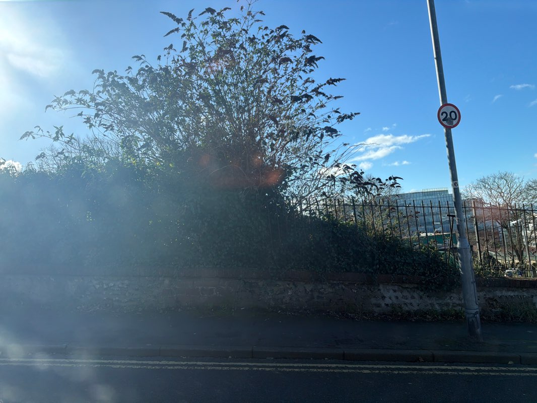 walking near me in Tarner Park in winter