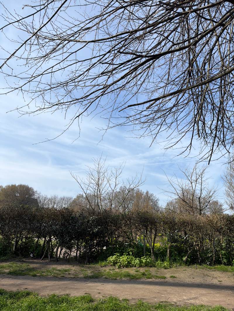 walking near me in The Level in spring