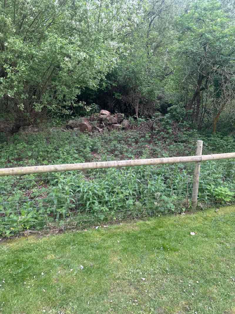 walking near me in Pools Park in spring