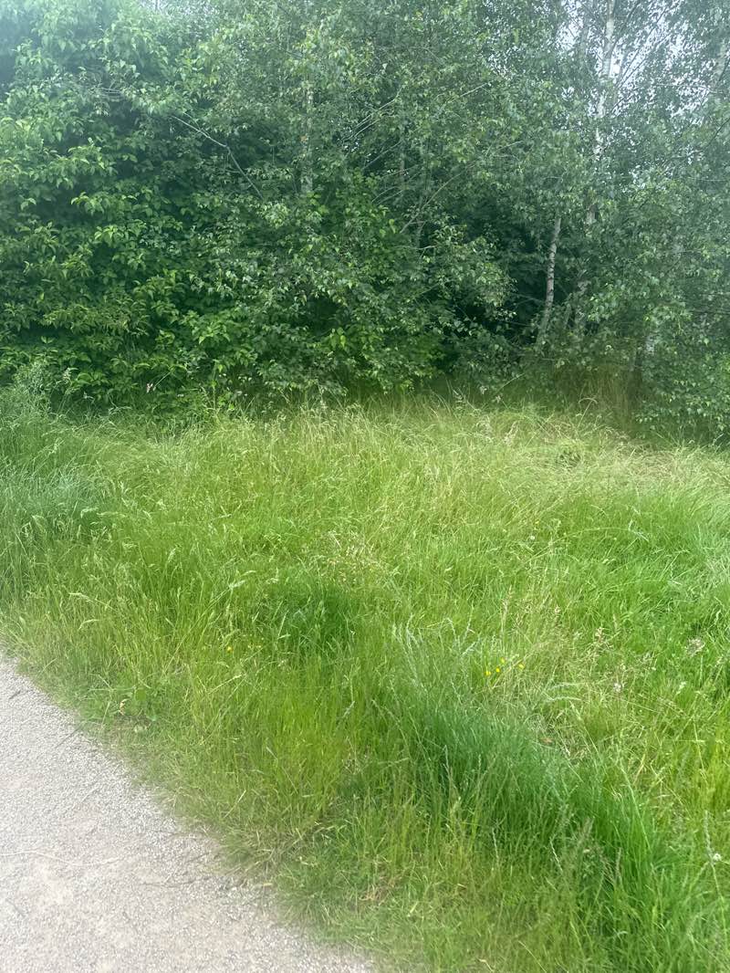 walking near me in Lakeside Park in summer